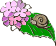 紫陽花 紫陽花